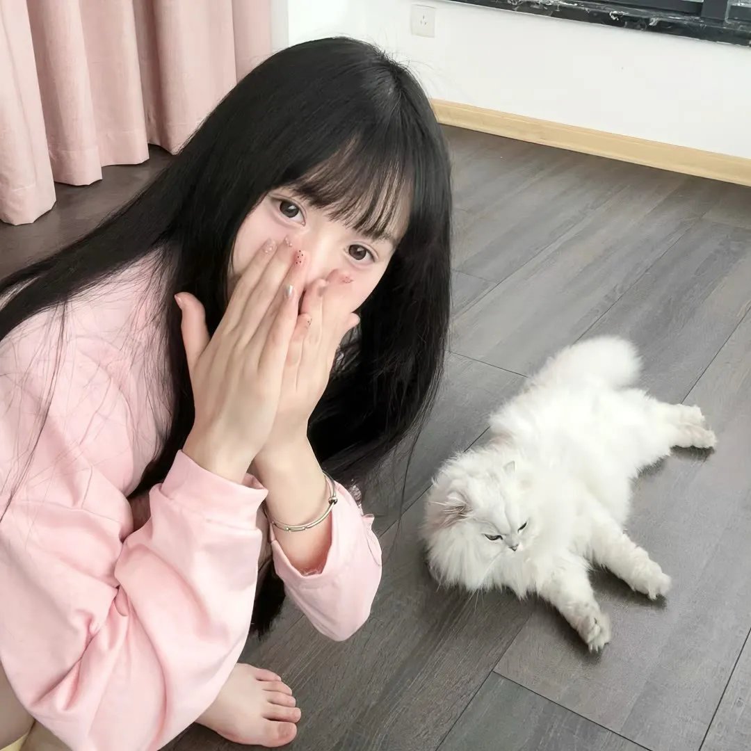 父子神探之燕子窠迷案